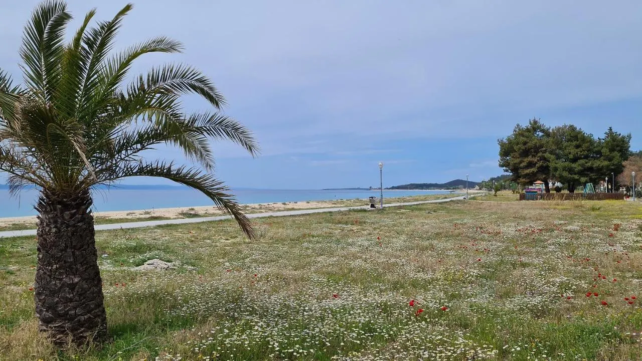 Apartamento Toroni Pearl